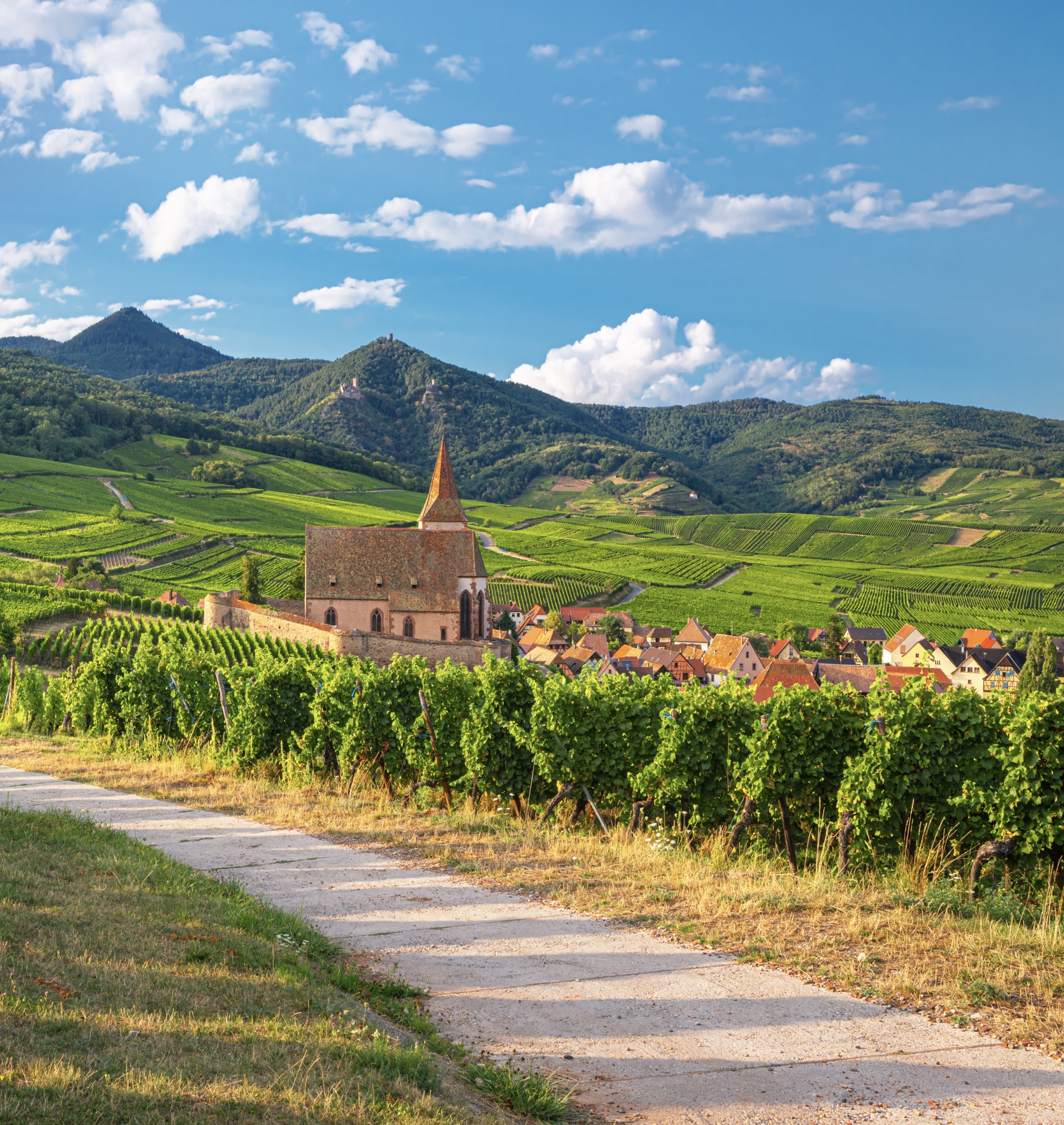 Suggested mixed dozen Alsace Loire Ardèche