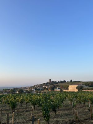 Your Early Spring Mixed Six: Vouvray, Châteauneuf-du-Pape, Lirac, Roussillon.