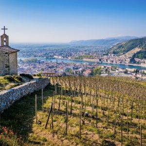 Your Late Spring Mixed Six: Châteauneuf-du-Pape, Crozes-Hermitage, Ardèche Chardonnay, Pinot Noir, Syrah, and Grenache
