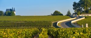 Your Mid Spring Mixed Six: Margaux, Pomerol, Bordeaux Supérieur, white & rosé