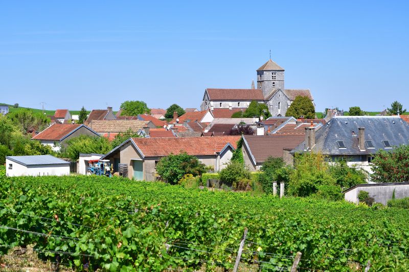 Your Burgundian Elegance and Pomerol Mixed Six