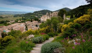 Your Mid Autumn Mixed Six: Châteauneuf-du-Pape, Champagne, Lussac-Saint-Émilion, Roussillon, Bordeaux, Chardonnay