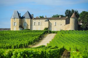 Your Early Autumn Mixed Six: Bordeaux, Haut-Médoc, Saint-Émilion, Rhône, Sancerre, and Margaux